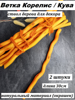 Ветка Корелис/Кува, 30см (оранжевый), 2штуки